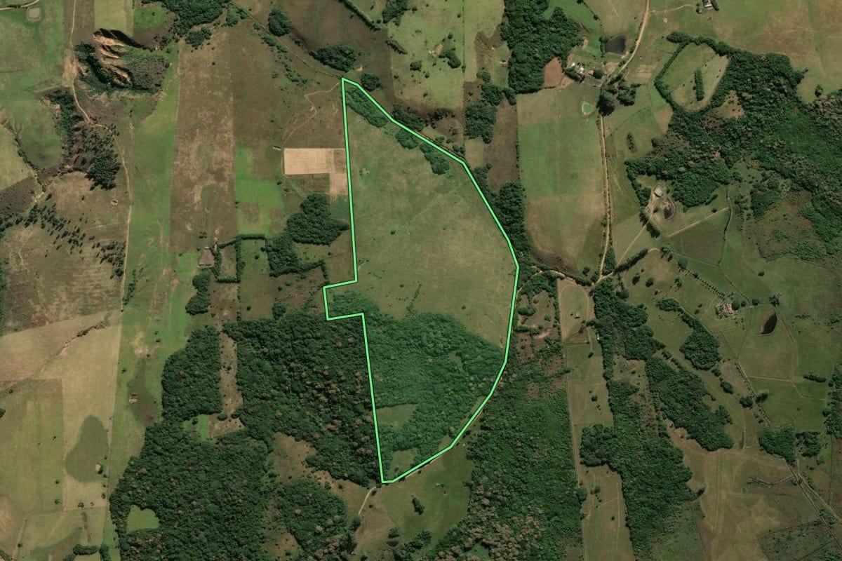Imagem de satélite do imóvel rural em Santo Antônio da Patrulha (RS), com o contorno declarado no CAR desenhado por cima.