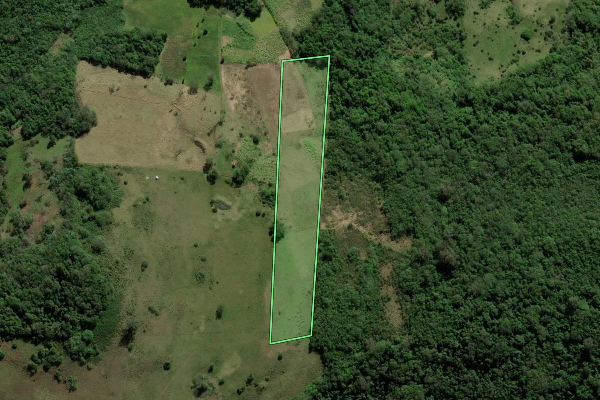 Imagem de satélite do imóvel rural em Santo Antônio da Patrulha (RS), com o contorno declarado no CAR desenhado por cima.