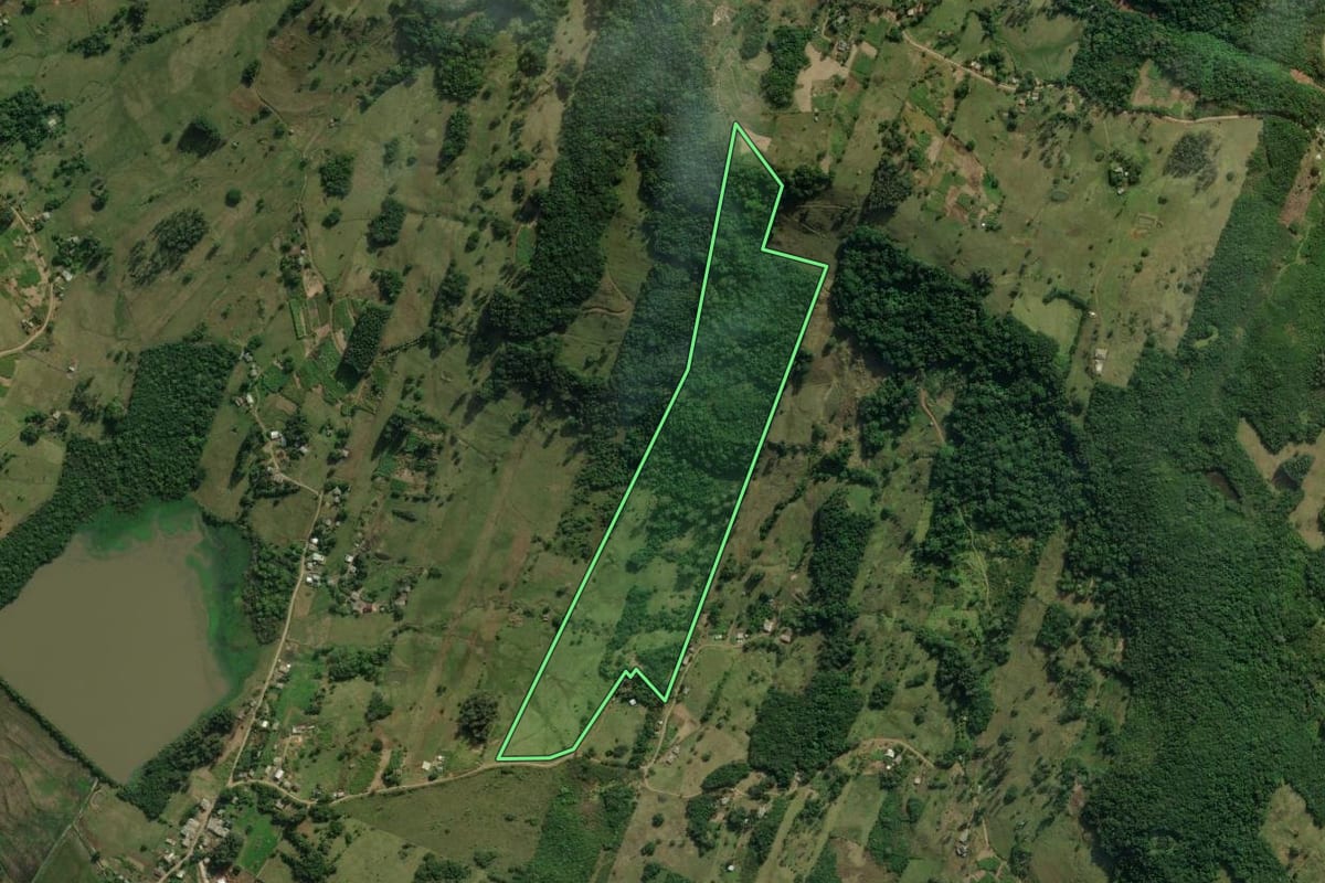 Imagem de satélite do imóvel rural em Santo Antônio da Patrulha (RS), com o contorno declarado no CAR desenhado por cima.