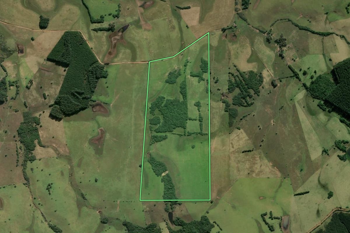 Imagem de satélite do imóvel rural em Santo Antônio da Patrulha (RS), com o contorno declarado no CAR desenhado por cima.