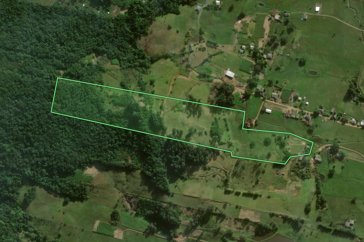 Imagem de satélite do imóvel rural em Santo Antônio da Patrulha (RS), com o contorno declarado no CAR desenhado por cima.