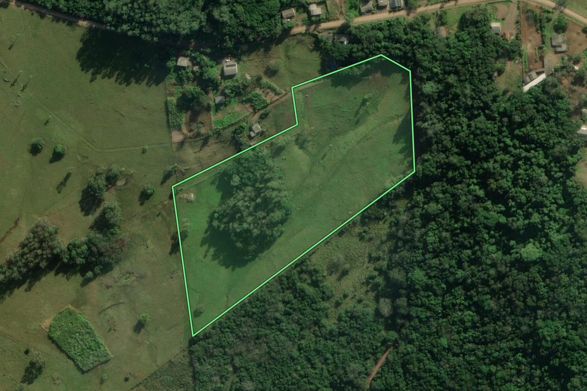 Imagem de satélite do imóvel rural em Santo Antônio da Patrulha (RS), com o contorno declarado no CAR desenhado por cima.