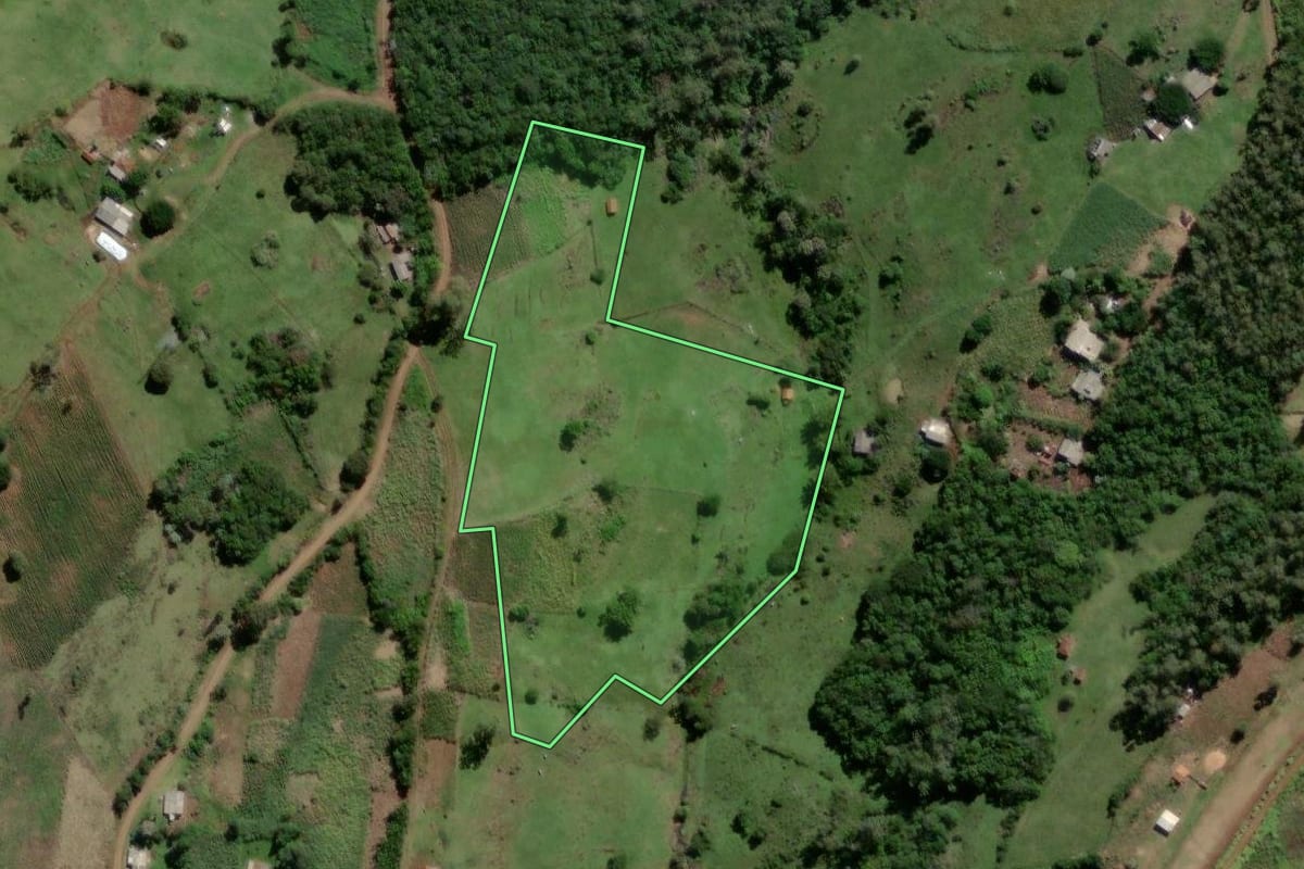 Imagem de satélite do imóvel rural em Santo Antônio da Patrulha (RS), com o contorno declarado no CAR desenhado por cima.