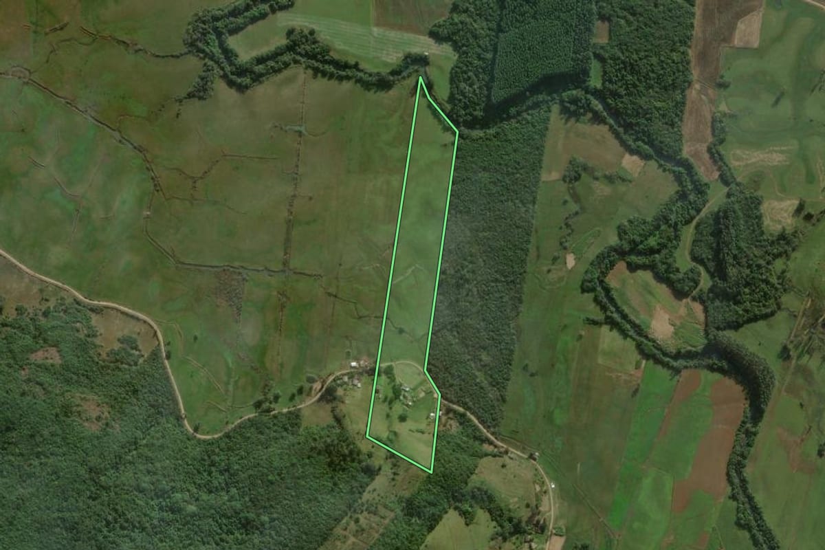 Imagem de satélite do imóvel rural em Santo Antônio da Patrulha (RS), com o contorno declarado no CAR desenhado por cima.