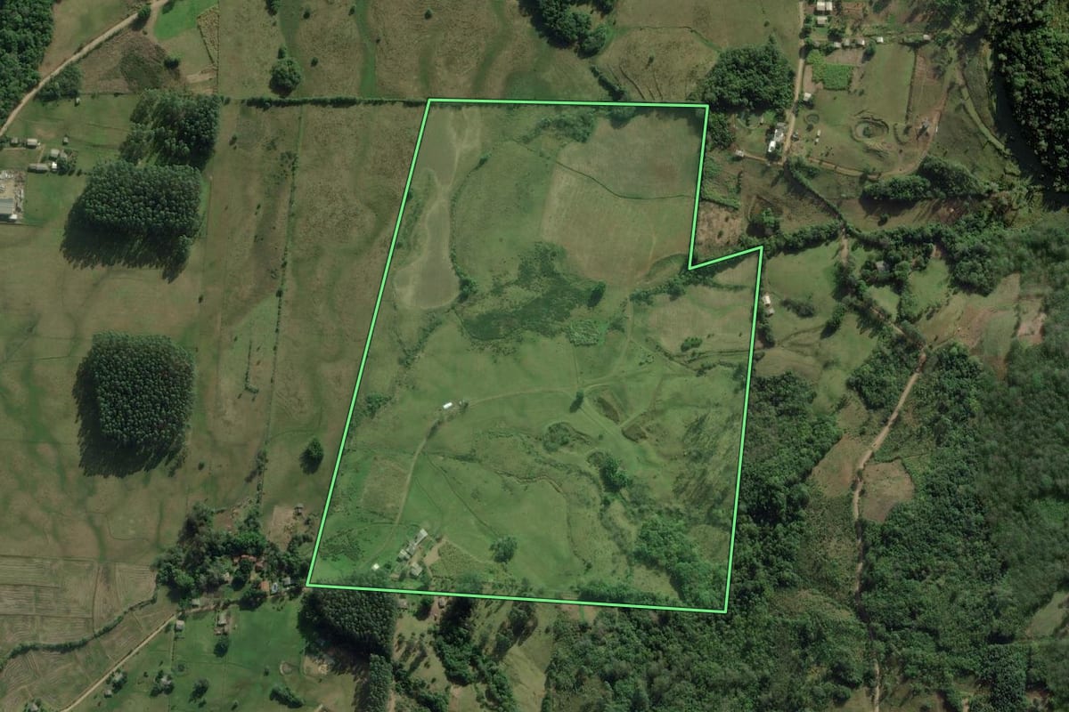 Imagem de satélite do imóvel rural em Santo Antônio da Patrulha (RS), com o contorno declarado no CAR desenhado por cima.