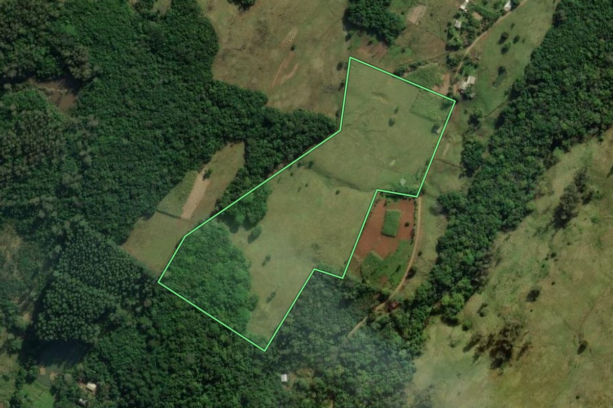 Imagem de satélite do imóvel rural em Santo Antônio da Patrulha (RS), com o contorno declarado no CAR desenhado por cima.