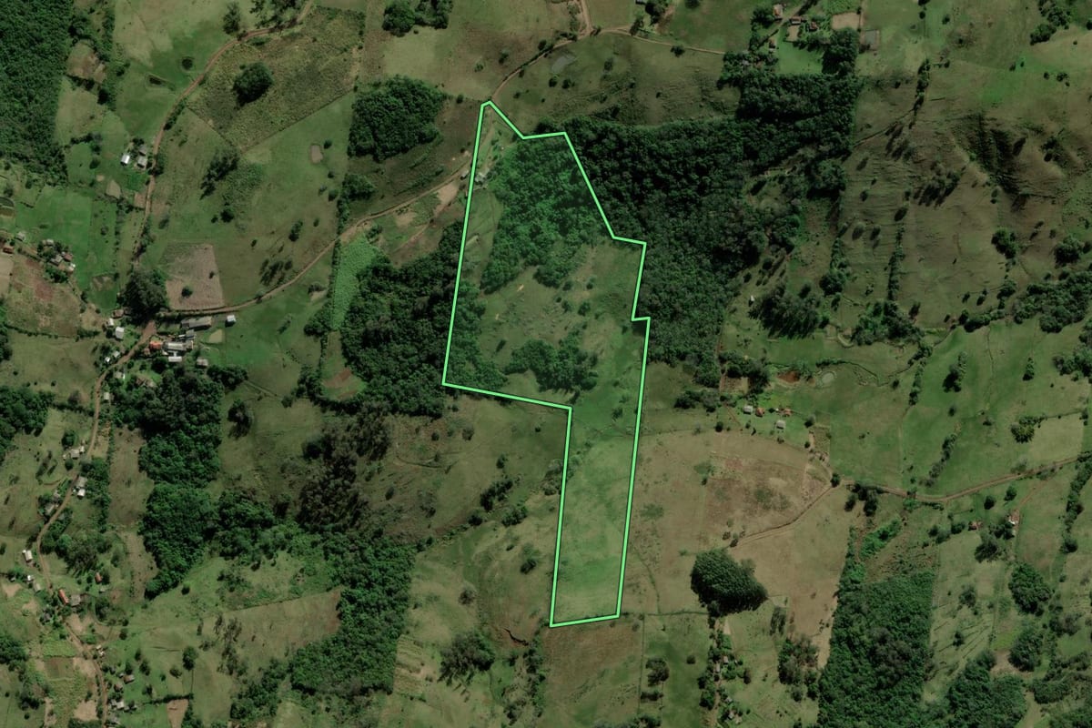 Imagem de satélite do imóvel rural em Santo Antônio da Patrulha (RS), com o contorno declarado no CAR desenhado por cima.