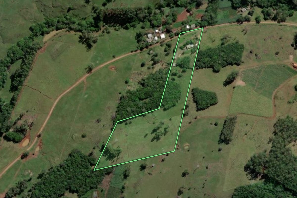 Imagem de satélite do imóvel rural em Santo Antônio da Patrulha (RS), com o contorno declarado no CAR desenhado por cima.