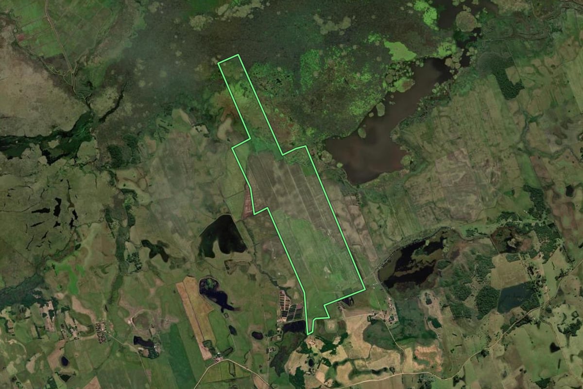 Imagem de satélite do imóvel rural em Santo Antônio da Patrulha (RS), com o contorno declarado no CAR desenhado por cima.