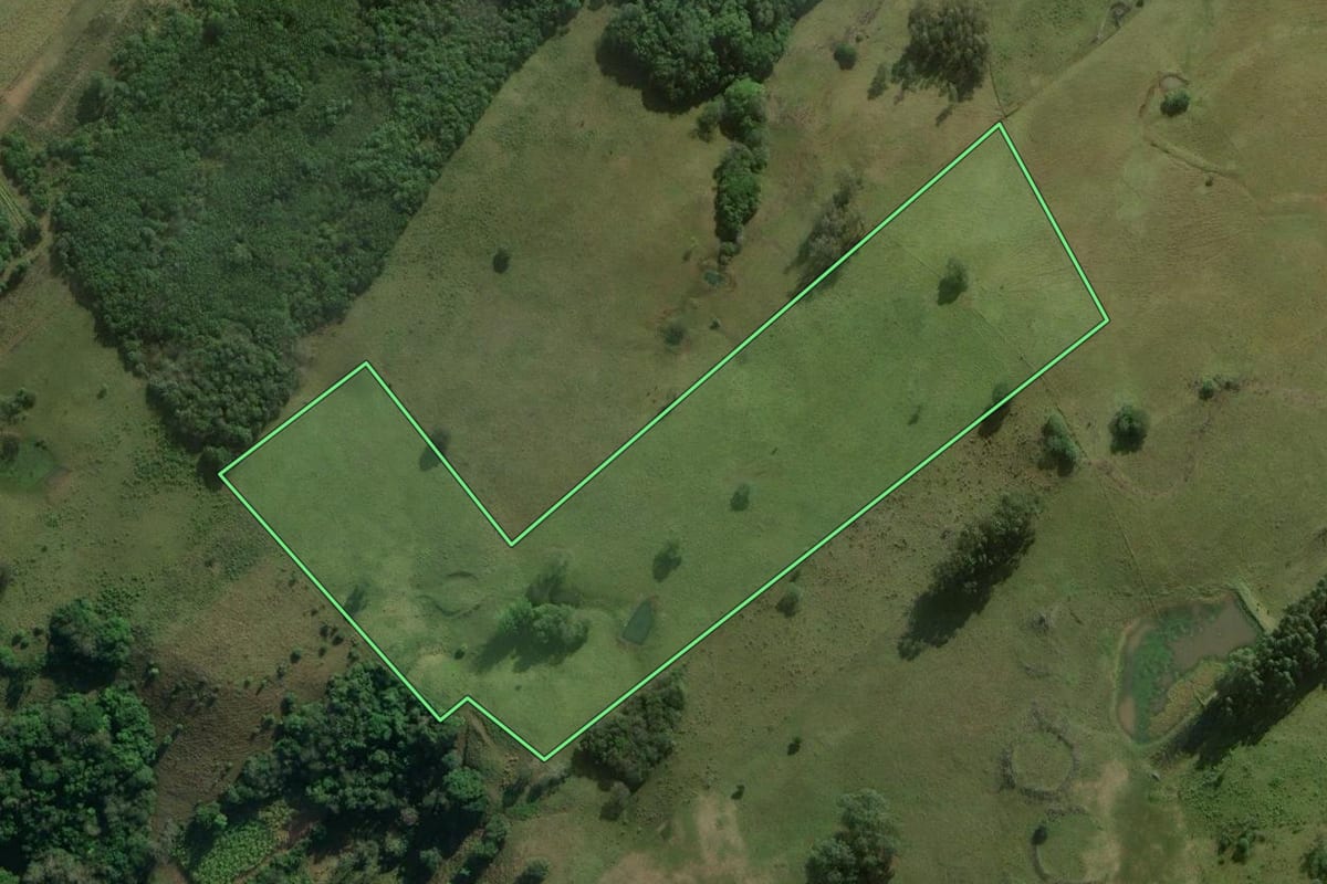 Imagem de satélite do imóvel rural em Santo Antônio da Patrulha (RS), com o contorno declarado no CAR desenhado por cima.
