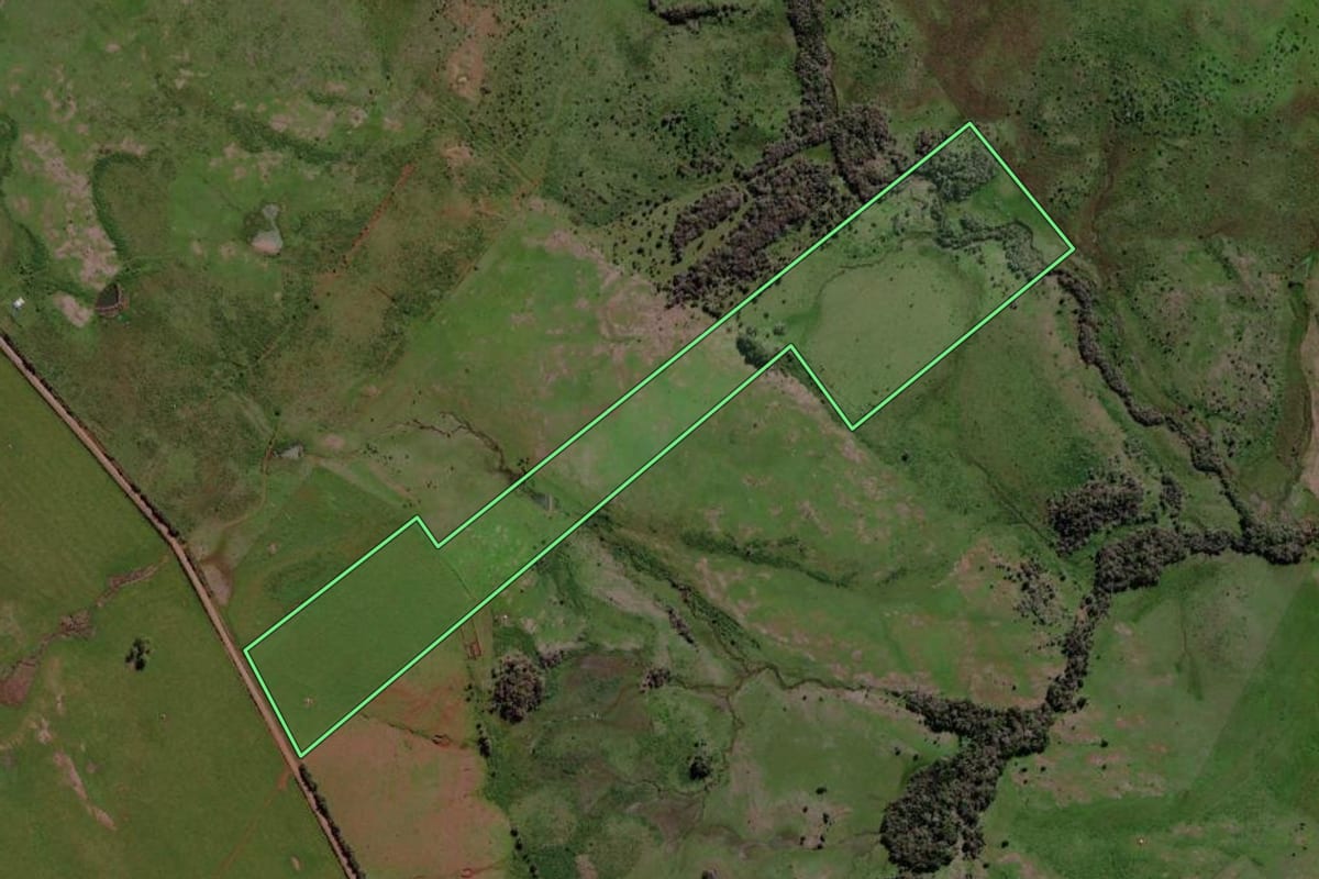 Imagem de satélite do imóvel rural em Santo Antônio das Missões (RS), com o contorno declarado no CAR desenhado por cima.