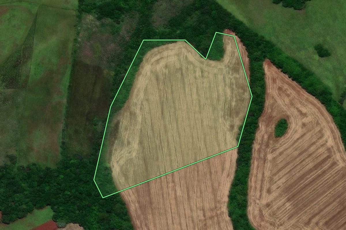 Imagem de satélite do imóvel rural em Santo Antônio das Missões (RS), com o contorno declarado no CAR desenhado por cima.