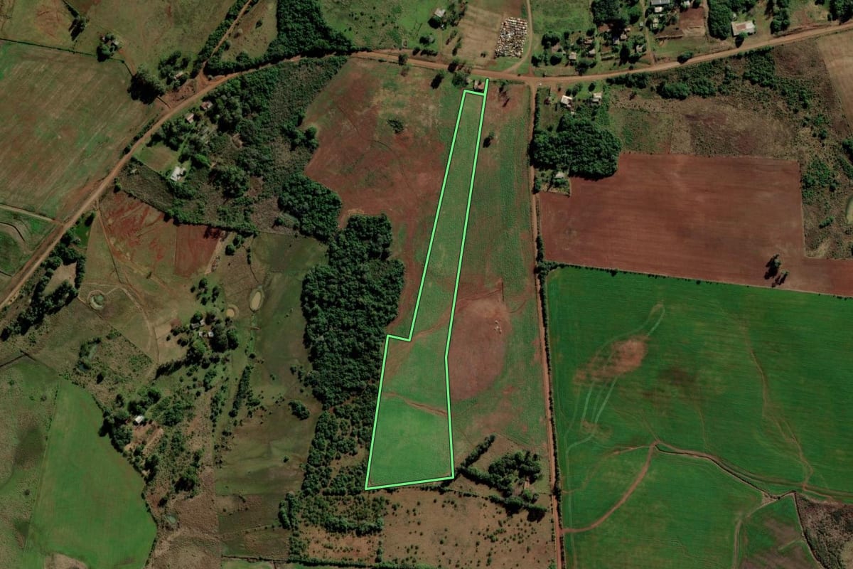 Imagem de satélite do imóvel rural em Santo Antônio das Missões (RS), com o contorno declarado no CAR desenhado por cima.