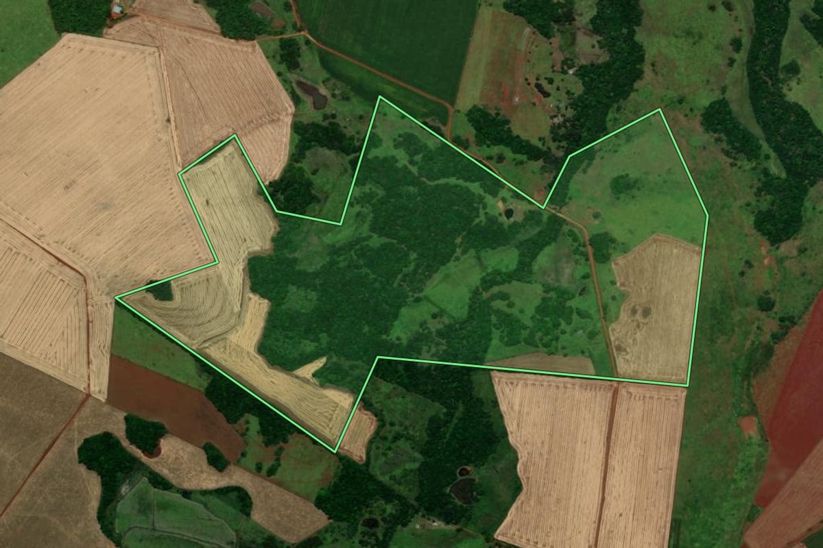 Imagem de satélite do imóvel rural em Santo Antônio das Missões (RS), com o contorno declarado no CAR desenhado por cima.