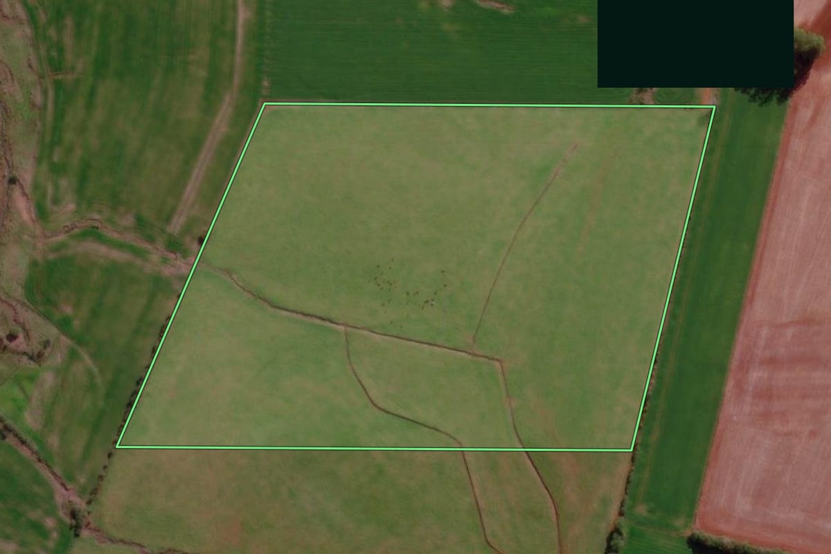 Imagem de satélite do imóvel rural em Santo Antônio das Missões (RS), com o contorno declarado no CAR desenhado por cima.