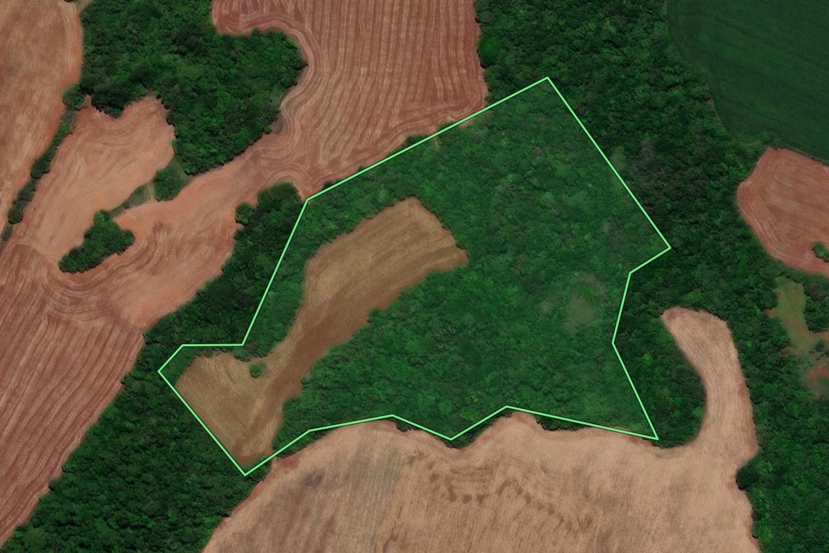 Imagem de satélite do imóvel rural em Santo Antônio das Missões (RS), com o contorno declarado no CAR desenhado por cima.