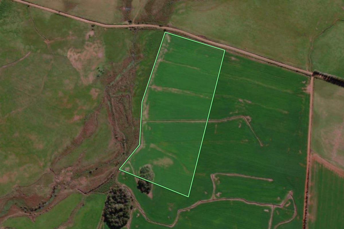 Imagem de satélite do imóvel rural em Santo Antônio das Missões (RS), com o contorno declarado no CAR desenhado por cima.