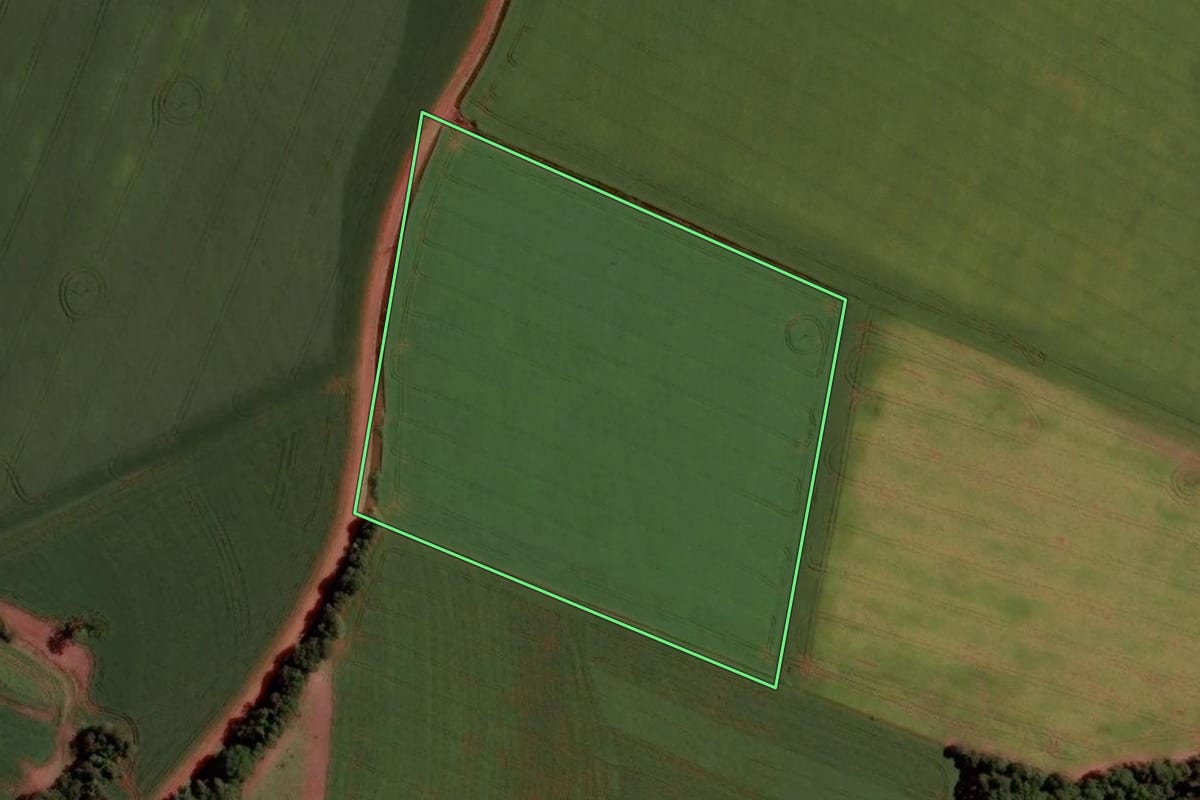 Imagem de satélite do imóvel rural em Santo Antônio do Planalto (RS), com o contorno declarado no CAR desenhado por cima.