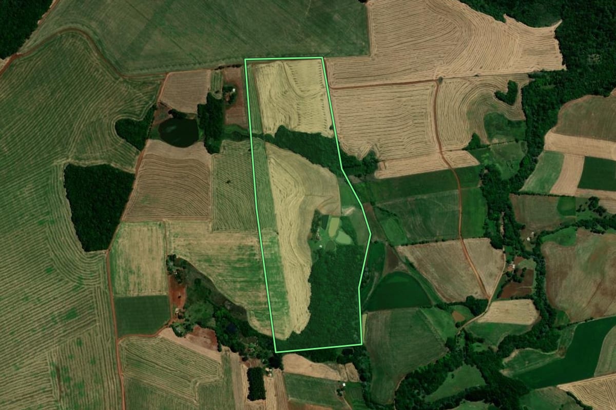 Imagem de satélite do imóvel rural em Santo Antônio do Planalto (RS), com o contorno declarado no CAR desenhado por cima.