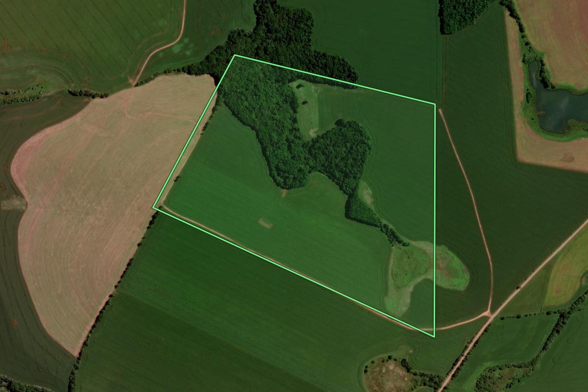 Imagem de satélite do imóvel rural em Santo Antônio do Planalto (RS), com o contorno declarado no CAR desenhado por cima.