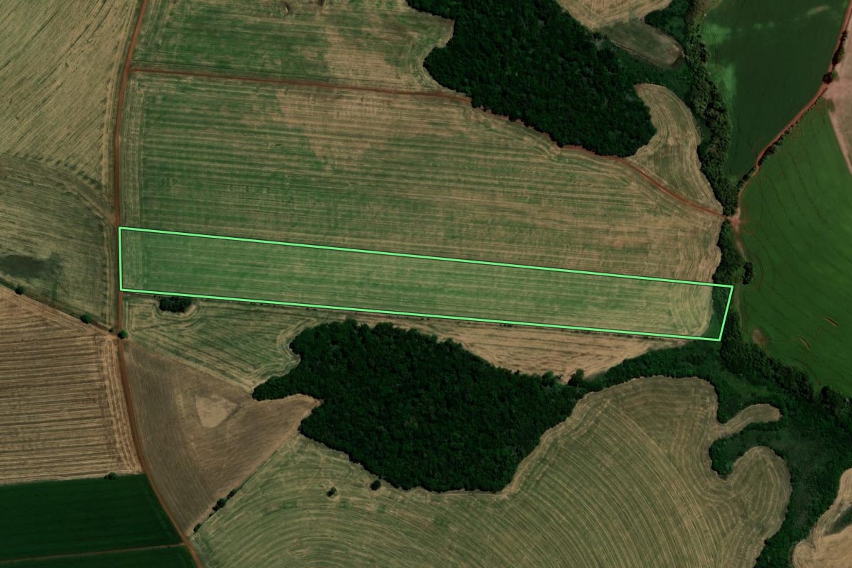 Imagem de satélite do imóvel rural em Santo Antônio do Planalto (RS), com o contorno declarado no CAR desenhado por cima.
