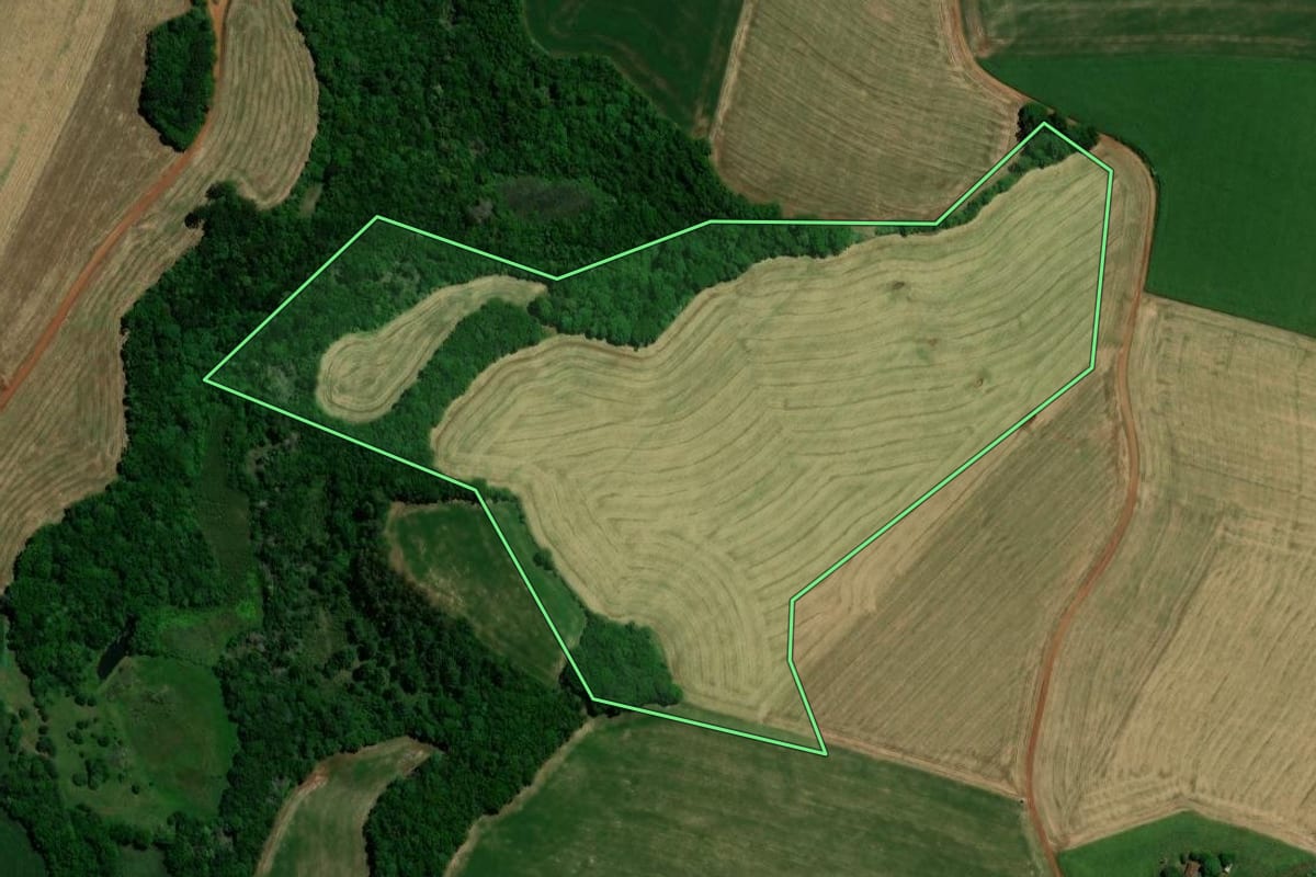 Imagem de satélite do imóvel rural em Santo Antônio do Planalto (RS), com o contorno declarado no CAR desenhado por cima.