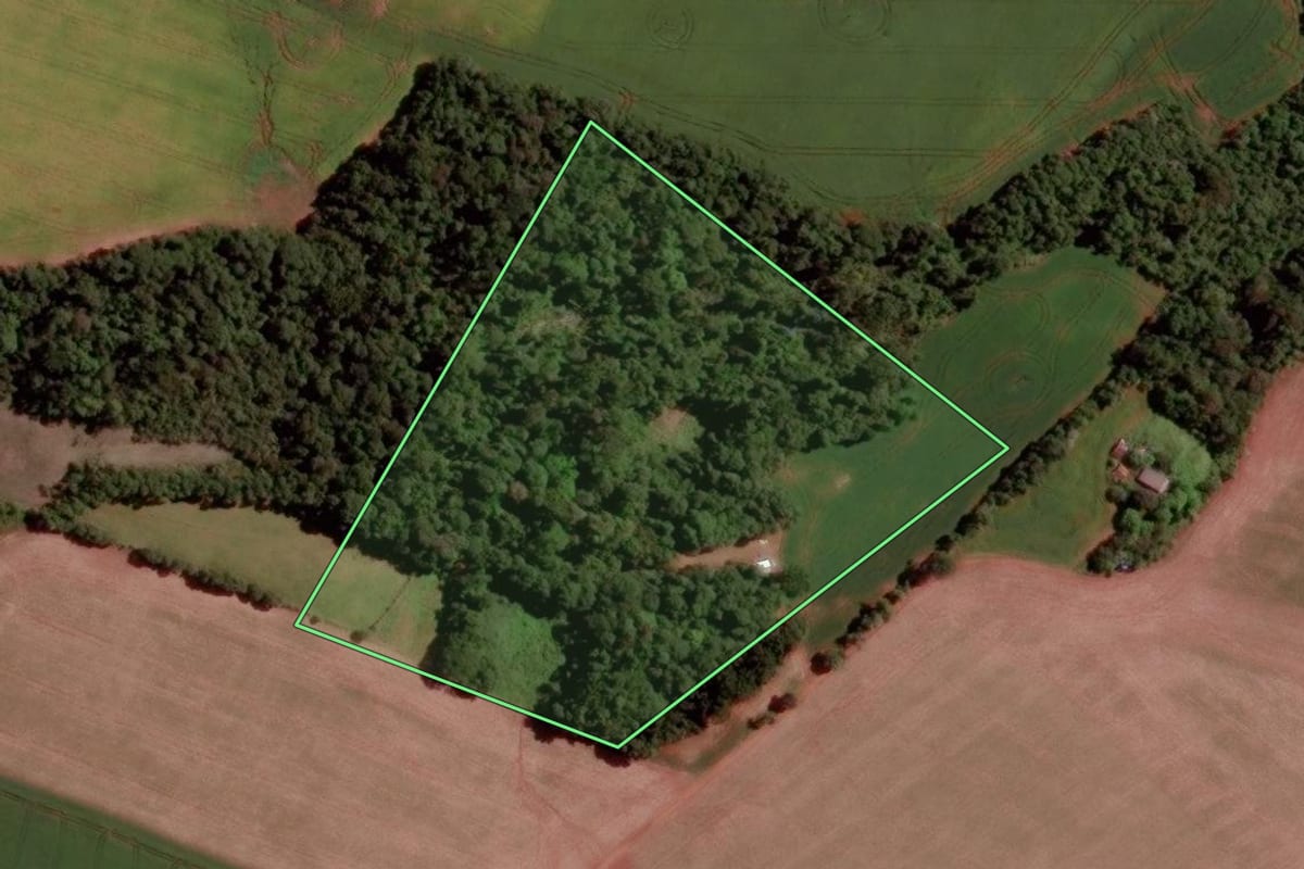 Imagem de satélite do imóvel rural em Santo Antônio do Planalto (RS), com o contorno declarado no CAR desenhado por cima.
