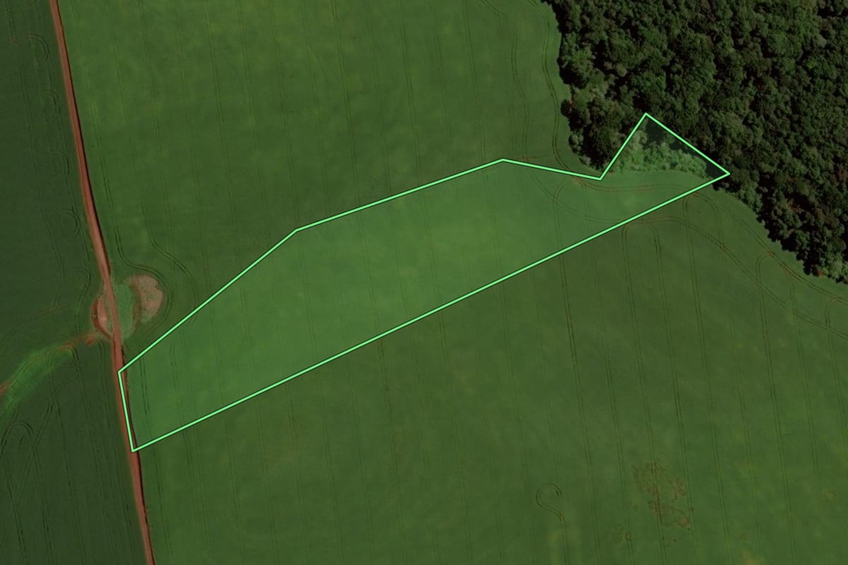 Imagem de satélite do imóvel rural em Santo Antônio do Planalto (RS), com o contorno declarado no CAR desenhado por cima.