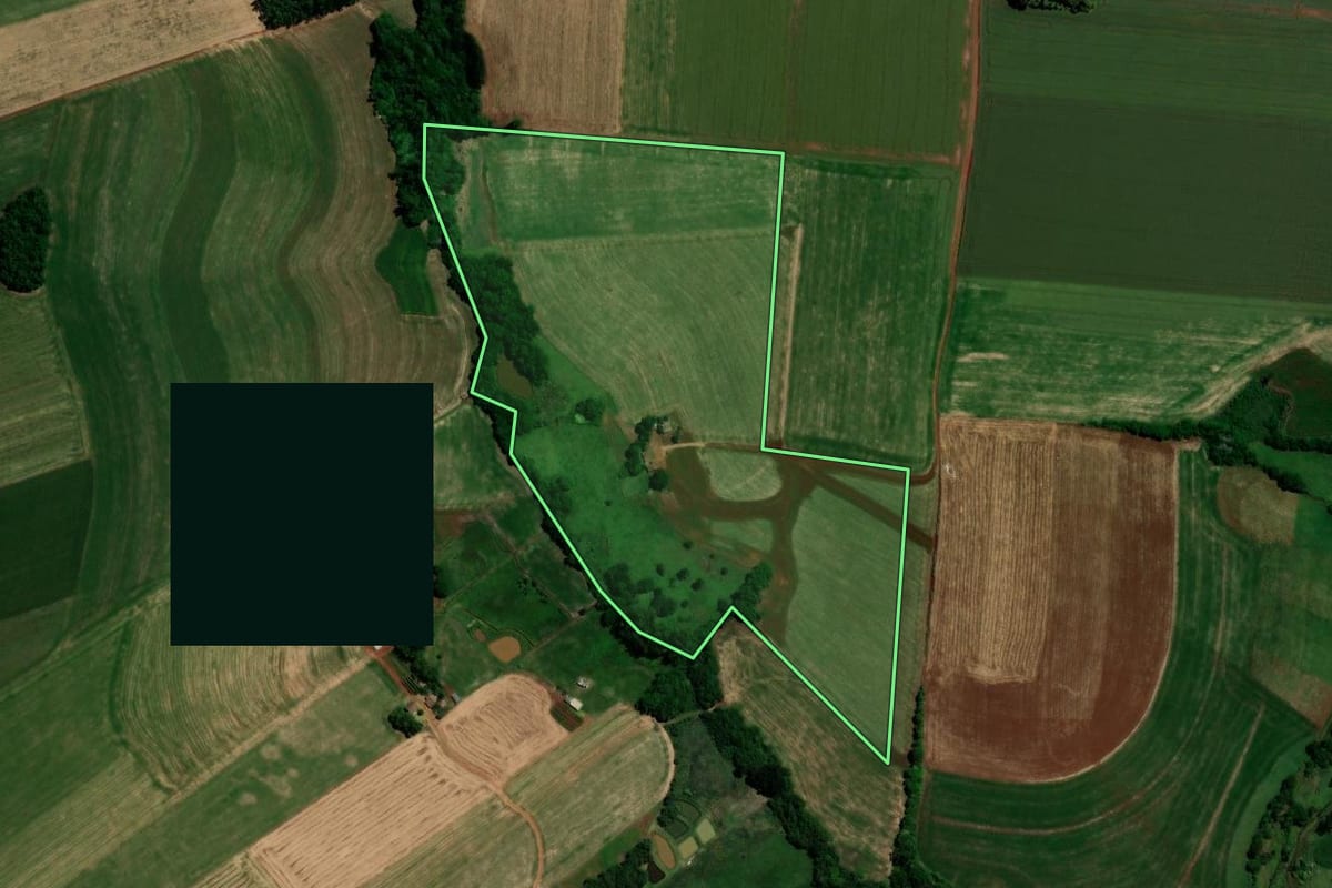 Imagem de satélite do imóvel rural em Santo Antônio do Planalto (RS), com o contorno declarado no CAR desenhado por cima.