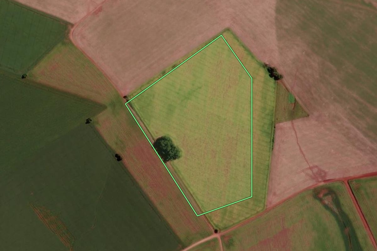 Imagem de satélite do imóvel rural em Santo Antônio do Planalto (RS), com o contorno declarado no CAR desenhado por cima.
