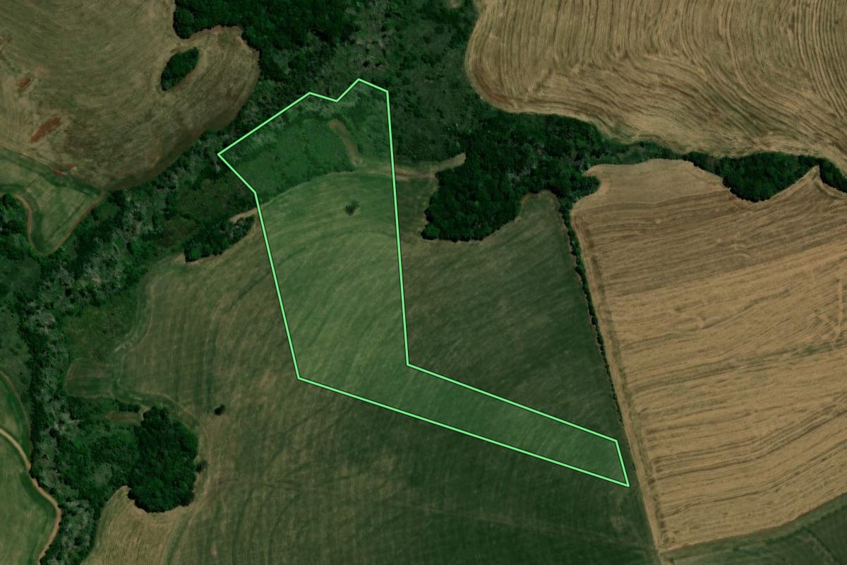 Imagem de satélite do imóvel rural em Santo Antônio do Planalto (RS), com o contorno declarado no CAR desenhado por cima.