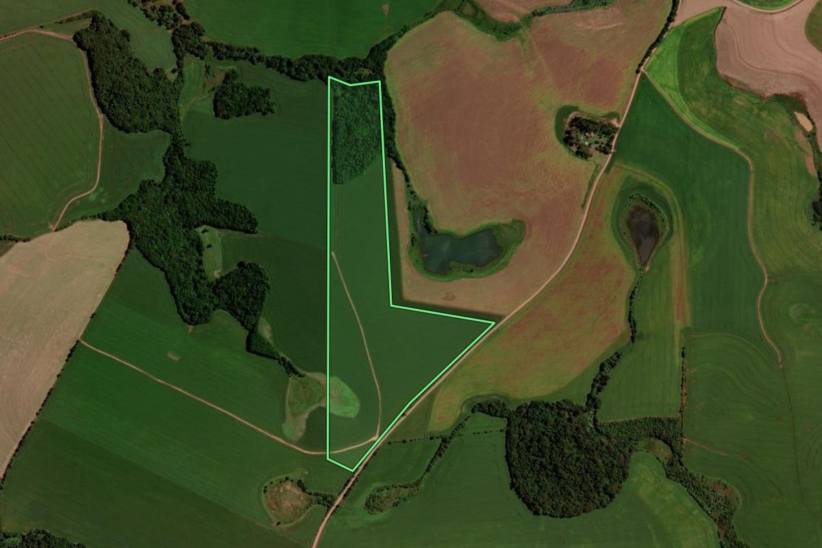 Imagem de satélite do imóvel rural em Santo Antônio do Planalto (RS), com o contorno declarado no CAR desenhado por cima.