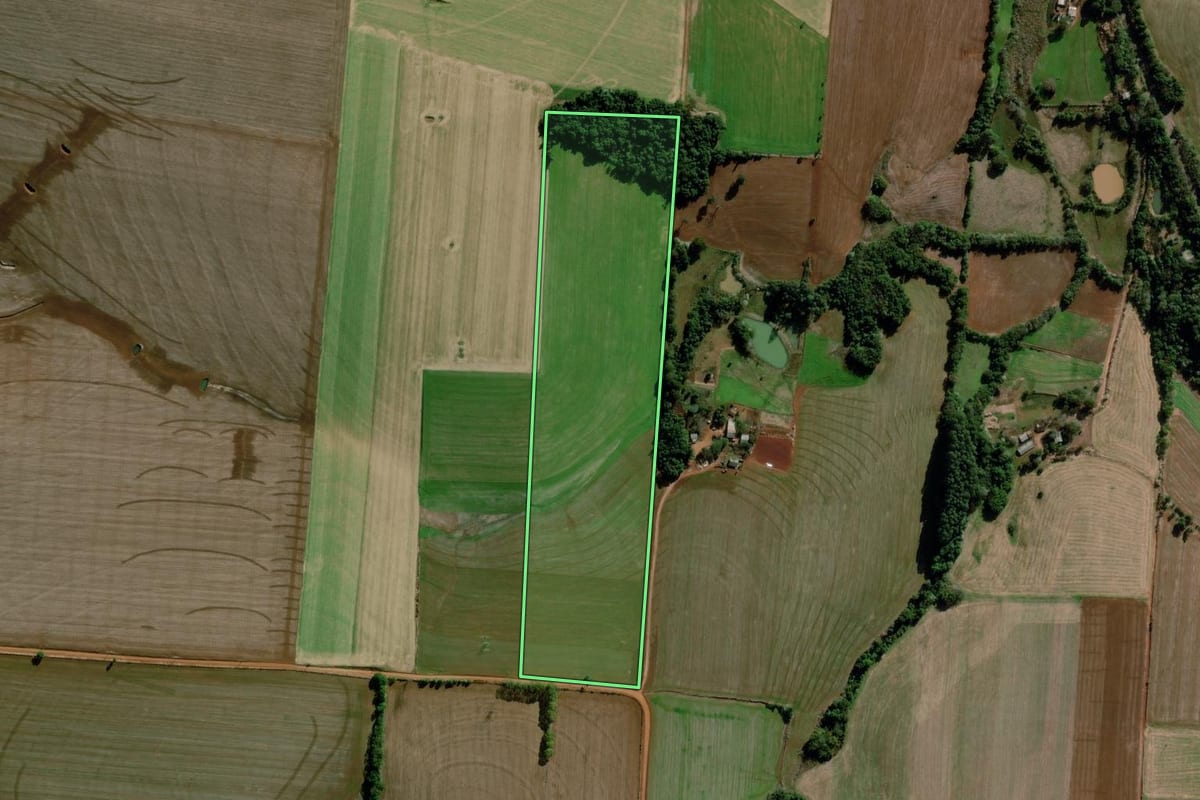 Imagem de satélite do imóvel rural em Santo Augusto (RS), com o contorno declarado no CAR desenhado por cima.