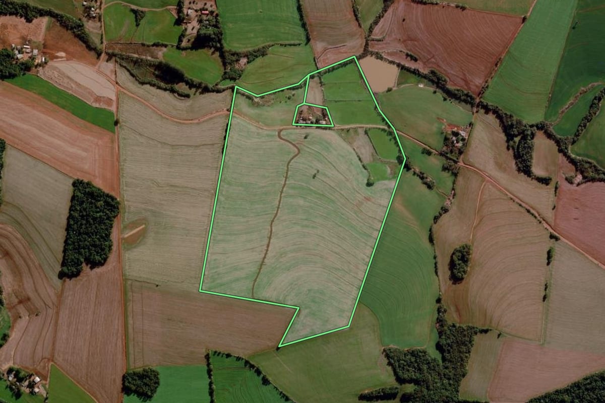 Imagem de satélite do imóvel rural em Santo Augusto (RS), com o contorno declarado no CAR desenhado por cima.
