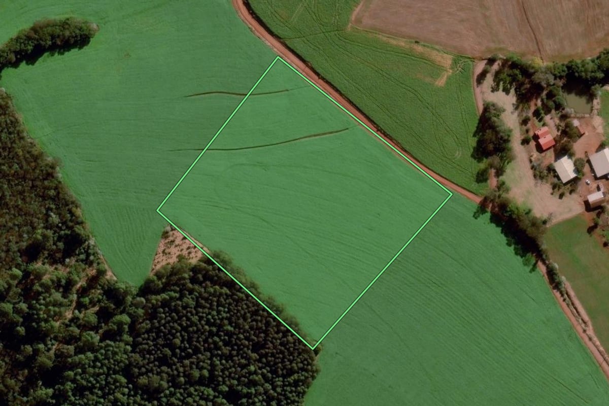 Imagem de satélite do imóvel rural em Santo Augusto (RS), com o contorno declarado no CAR desenhado por cima.