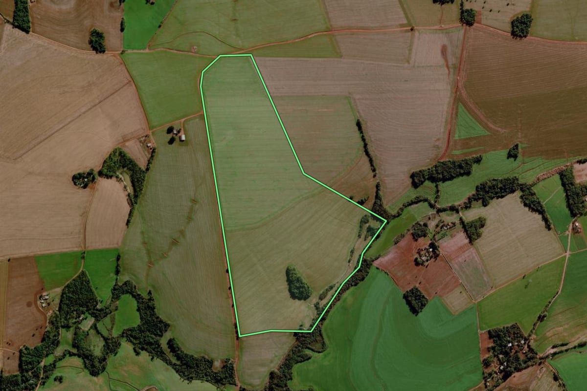 Imagem de satélite do imóvel rural em Santo Augusto (RS), com o contorno declarado no CAR desenhado por cima.