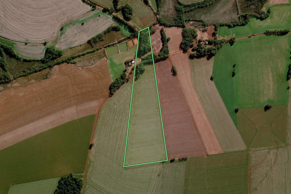 Imagem de satélite do imóvel rural em Santo Augusto (RS), com o contorno declarado no CAR desenhado por cima.
