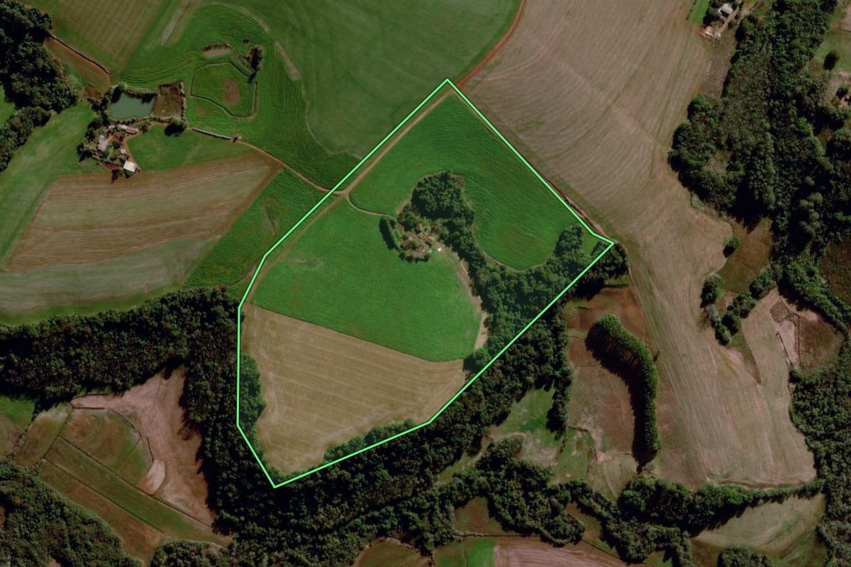 Imagem de satélite do imóvel rural em Santo Augusto (RS), com o contorno declarado no CAR desenhado por cima.