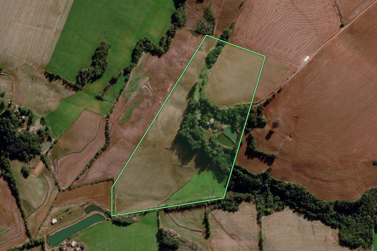 Imagem de satélite do imóvel rural em Santo Augusto (RS), com o contorno declarado no CAR desenhado por cima.
