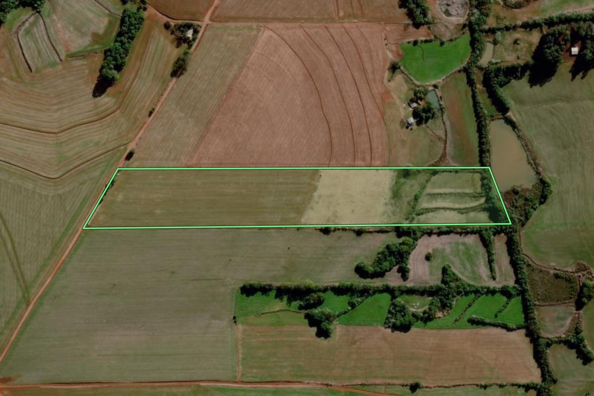 Imagem de satélite do imóvel rural em Santo Augusto (RS), com o contorno declarado no CAR desenhado por cima.