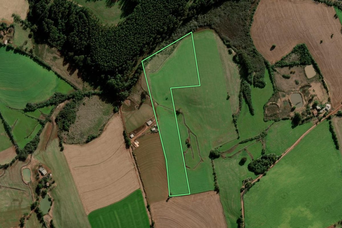Imagem de satélite do imóvel rural em Santo Augusto (RS), com o contorno declarado no CAR desenhado por cima.