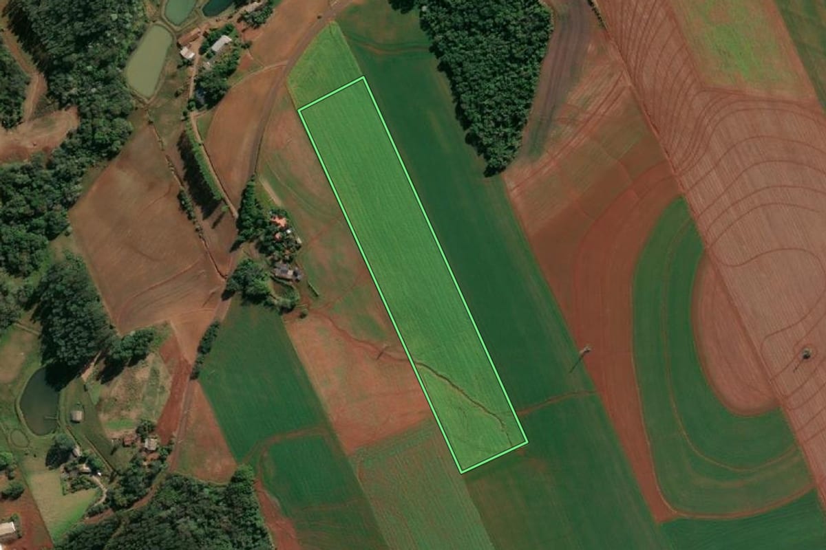 Imagem de satélite do imóvel rural em Santo Cristo (RS), com o contorno declarado no CAR desenhado por cima.