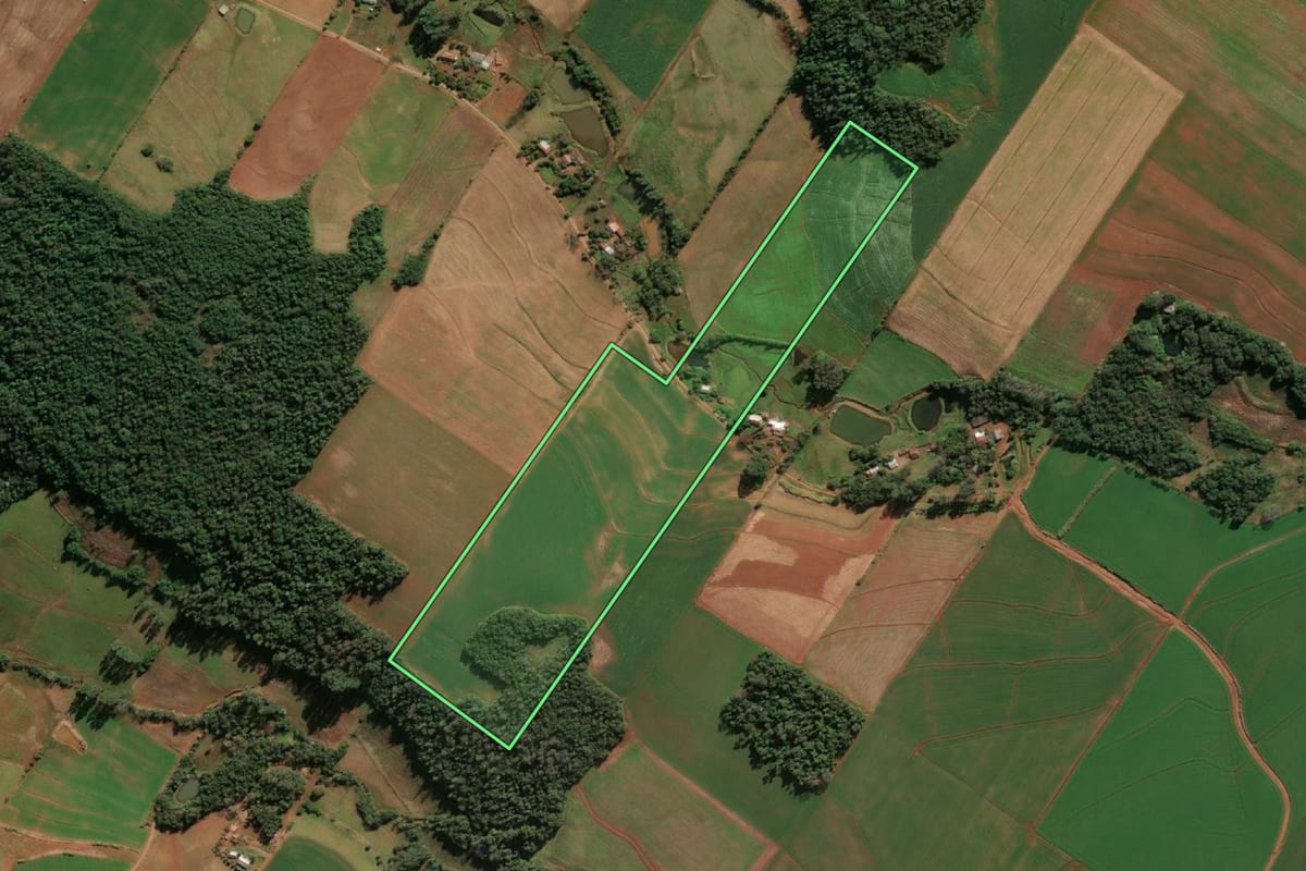 Imagem de satélite do imóvel rural em Santo Cristo (RS), com o contorno declarado no CAR desenhado por cima.