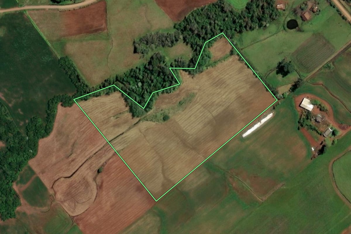 Imagem de satélite do imóvel rural em Santo Cristo (RS), com o contorno declarado no CAR desenhado por cima.