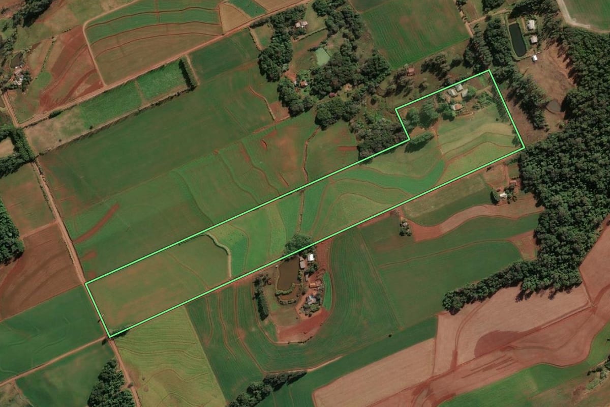Imagem de satélite do imóvel rural em Santo Cristo (RS), com o contorno declarado no CAR desenhado por cima.