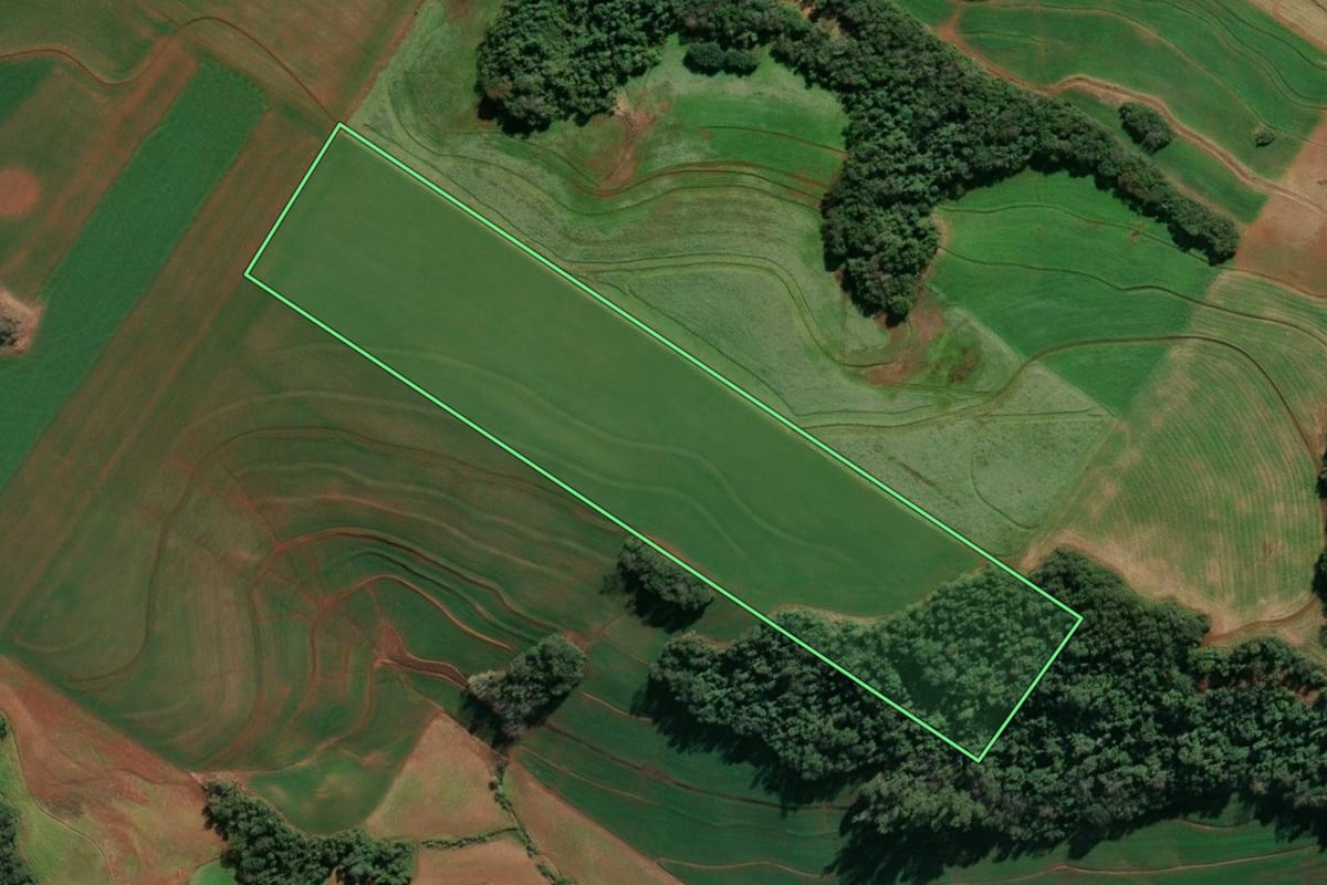 Imagem de satélite do imóvel rural em Santo Cristo (RS), com o contorno declarado no CAR desenhado por cima.