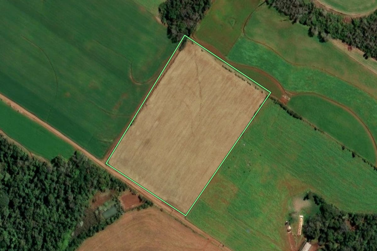 Imagem de satélite do imóvel rural em Santo Cristo (RS), com o contorno declarado no CAR desenhado por cima.