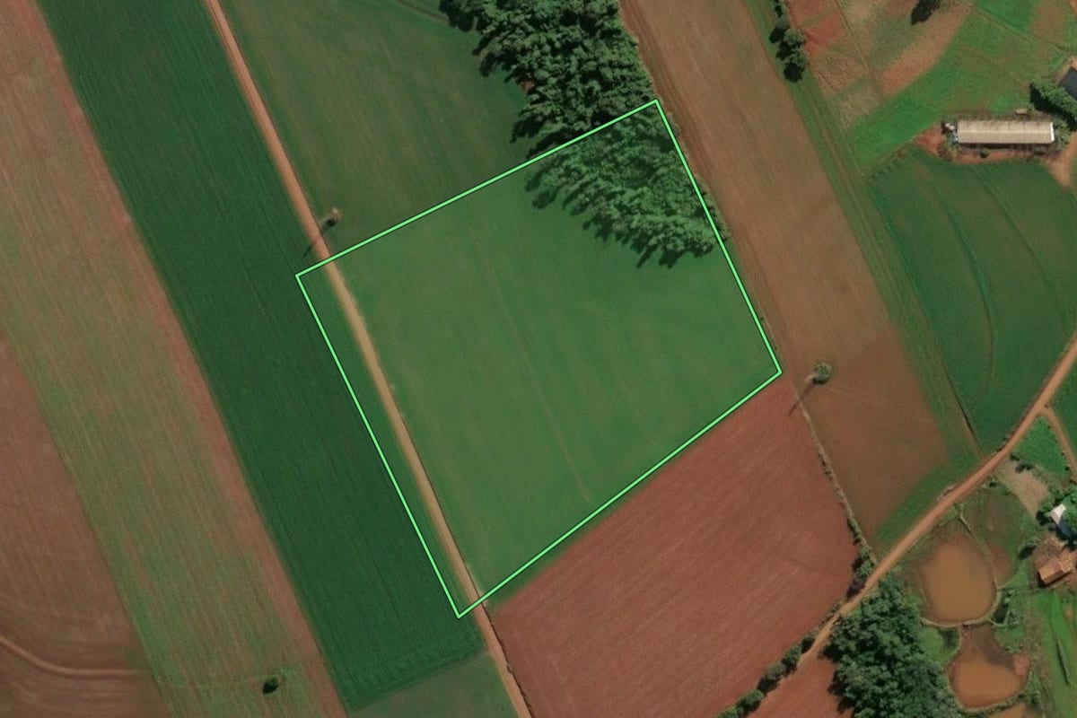 Imagem de satélite do imóvel rural em Santo Cristo (RS), com o contorno declarado no CAR desenhado por cima.