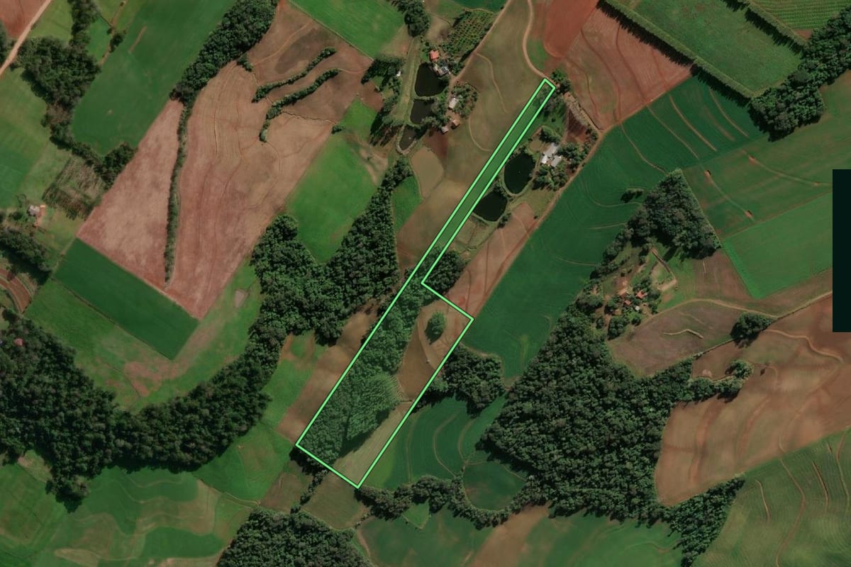 Imagem de satélite do imóvel rural em Santo Cristo (RS), com o contorno declarado no CAR desenhado por cima.