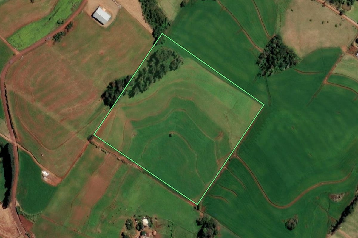 Imagem de satélite do imóvel rural em Santo Cristo (RS), com o contorno declarado no CAR desenhado por cima.